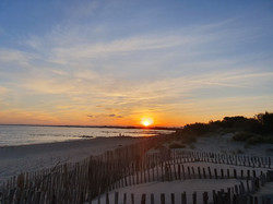 Illustration de la galerie