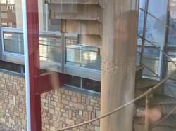 Illustration de la galerie