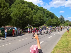 Illustration de la galerie