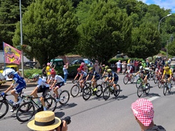 Illustration de la galerie